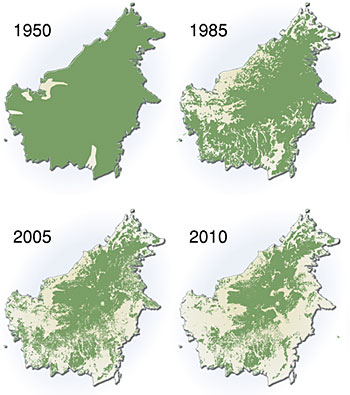Map of deforestation on Borneo