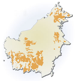 Map of where orangutans live on Borneo